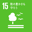 SDGsS15