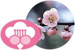 大阪の花 うめ