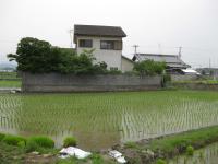 地域の農家が大阪府みどり公社を介した賃借により復田した農地