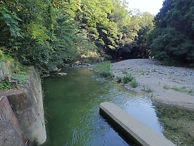 槇尾川上流