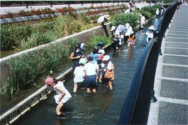 Nagase Irrigation Canal