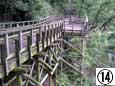 森林鉄道風歩道橋を歩いて園地の中に入っていきます