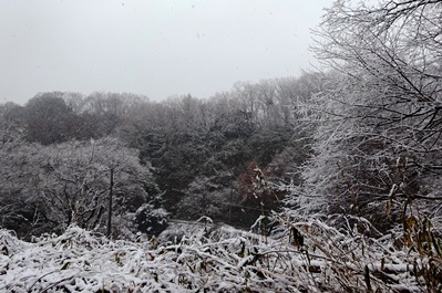 高尾山周辺の積雪