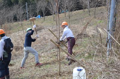 参加者が植えた苗木の添え木をかけやで打ち込んでいる写真