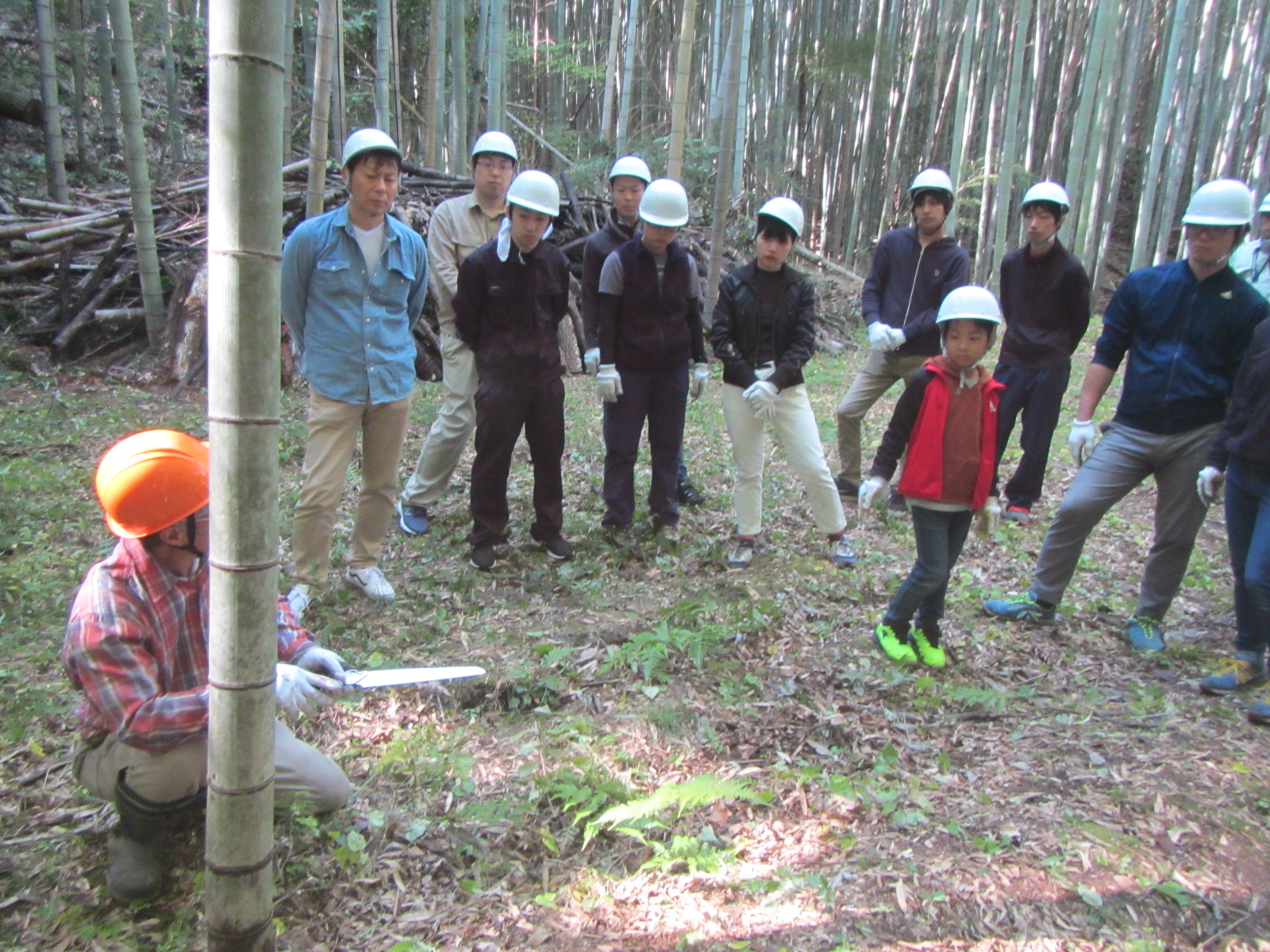 竹伐採指導
