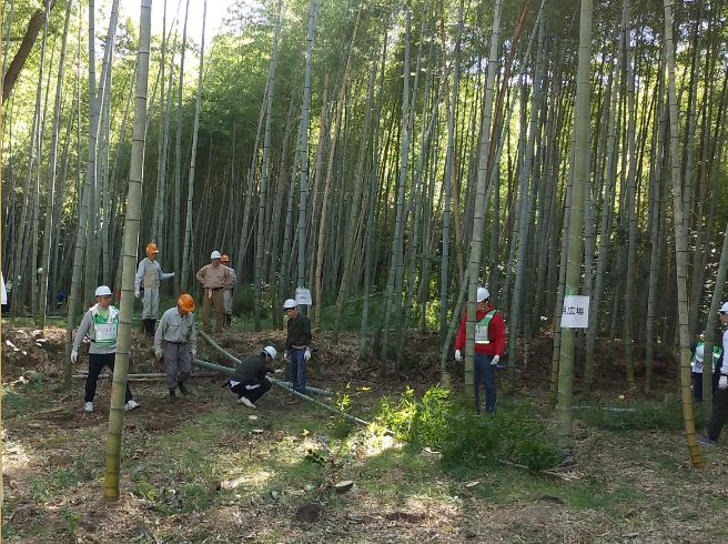 活動地の竹を伐倒