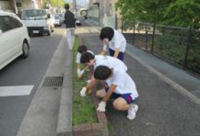 地域の歩道清掃花植え活動