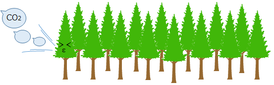 杉の木約71本が１年間に吸収するCO2量の削減