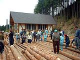 木材総合センター木材共販所の写真