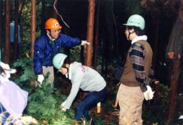 人工林、作業状況の写真