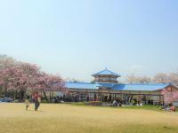 長野公園の写真