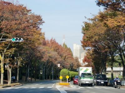 南千里茨木停車場線の街路樹