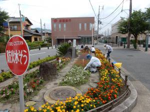 島本町緑と花いっぱいの会の写真その１