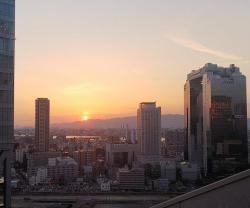 ビルの間に沈む夕日を眺める大阪駅「天空の農園」