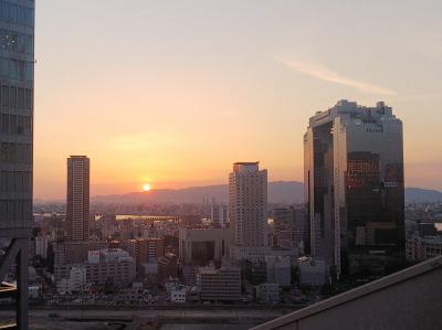 ビルの間に沈む夕日を眺める大阪駅「天空の農園」