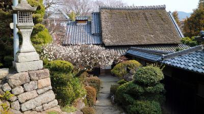 大道旧山本家住宅を眺める日本遺産竹内街道