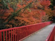 豊浦橋の紅葉