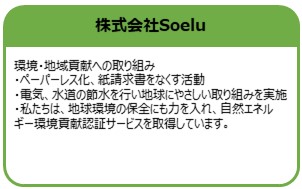株式会社Soelu