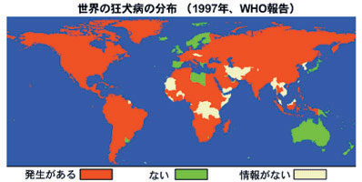 世界の狂犬病の分布（国立感染症研究所感染症情報センターホームページ「感染症の話：狂犬病」より引用 ）