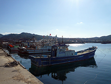 深日漁港魚市場