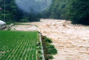 平成１１年６月の大雨による被害写真