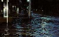 写真；八尾市にある図書館の前も浸水しています。