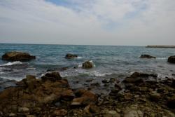 画像です。小島自然海浜保全地区の様子
