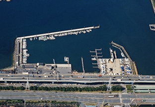 平成２１年の石津漁港の航空写真