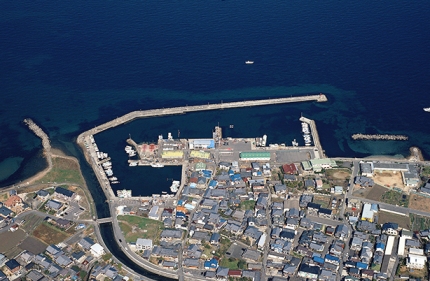 平成２１年の下荘漁港の航空写真