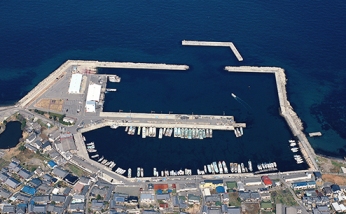 平成２１年の淡輪漁港の航空写真
