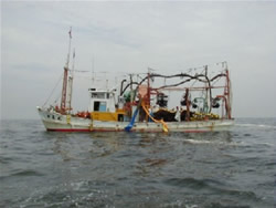 網船が次ぎの漁場へ向かう写真