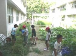 学校農園（菜園）づくりの様子