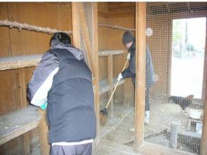 動物飼育小屋の管理ボランティア活動