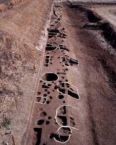【写真】山城廃寺で発見された大型ちゅうけつれつ