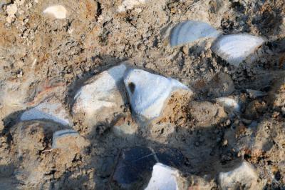 写真５　３区から出土した土器群（蛸壺ほか、６世紀頃）
