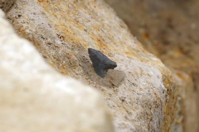 縄文時代の石鏃の検出状況
