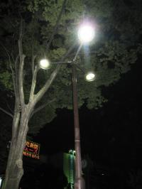 市道に整備されたＬＥＤ街路灯