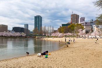 大阪ふれあいの水辺の写真