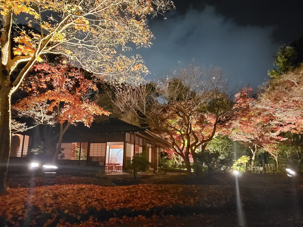 日本庭園ライトアップ