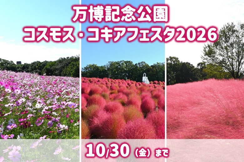 万博記念公園 コスモス・コキアフェスタ
