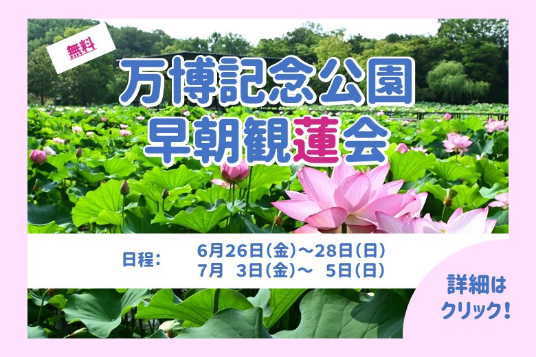 万博記念公園　早朝観蓮会
