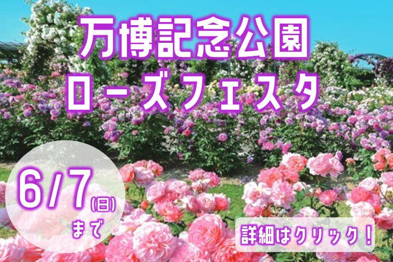 万博記念公園　ローズフェスタ