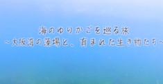 VRサムネ