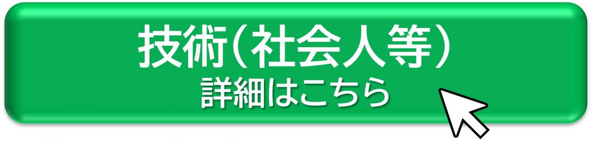 技術（社会人等）詳細