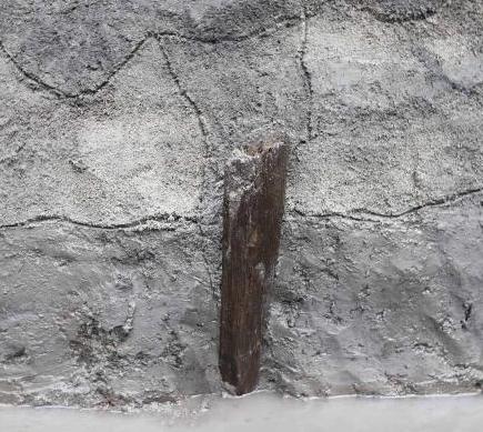 第2調査区杭の出土状況