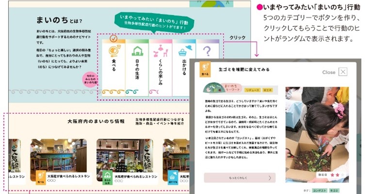 コンテンツ