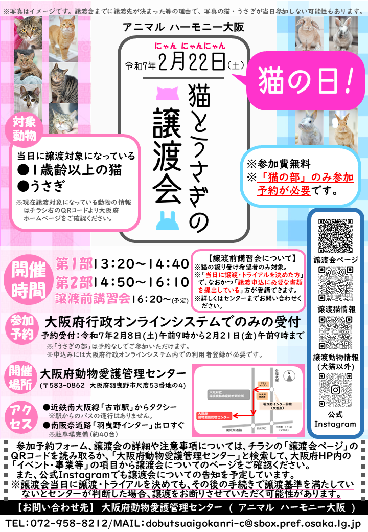 譲渡会チラシ