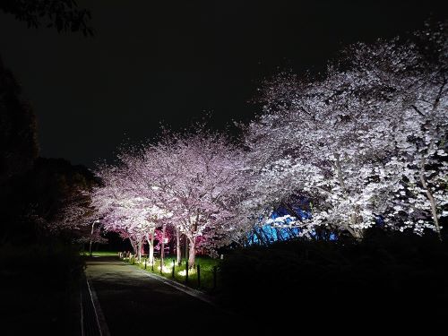 深北緑地イベント