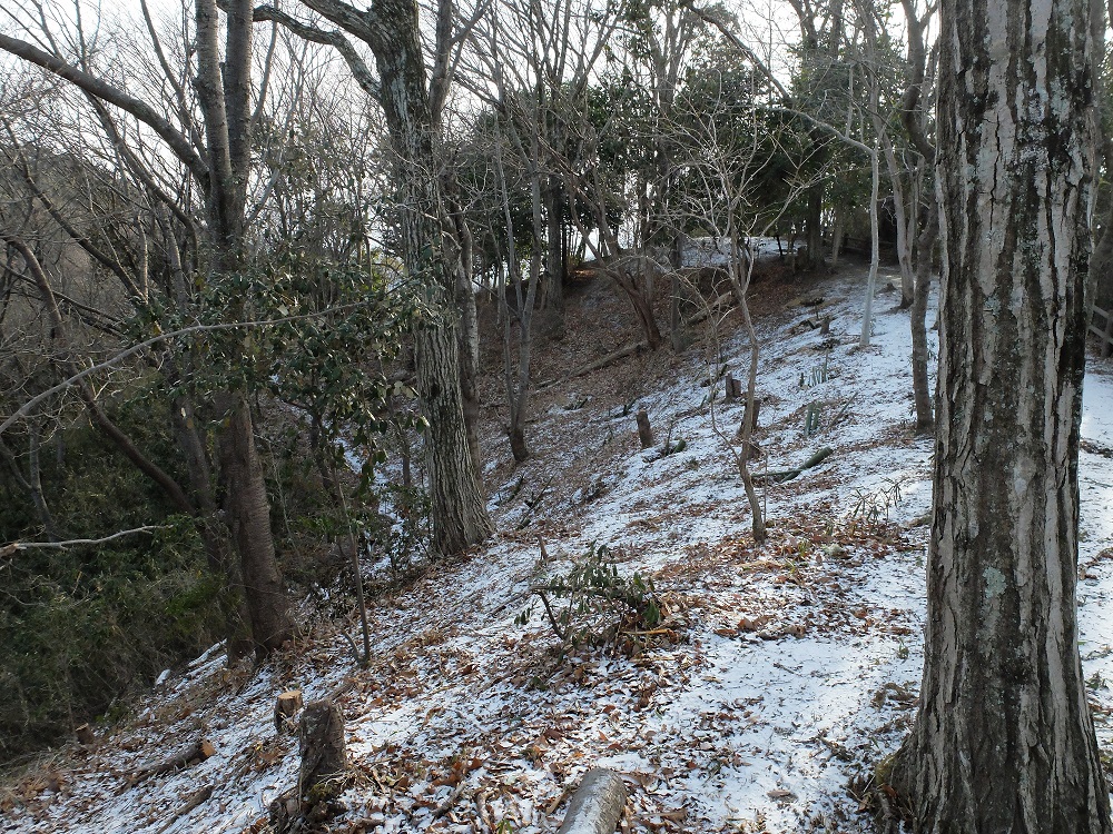 雪景色の活動地の森の画像その2