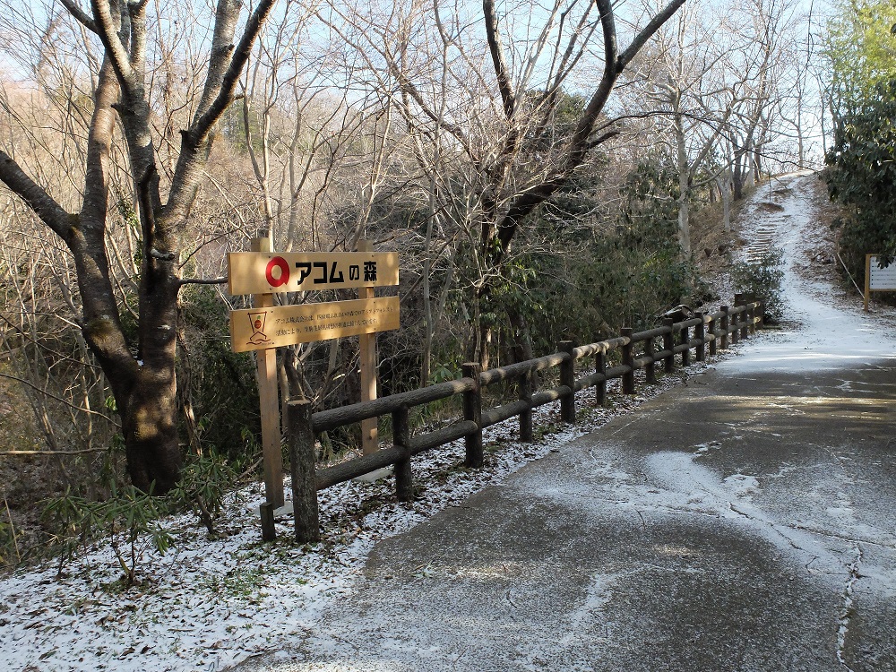 雪景色の活動地の森の画像その1